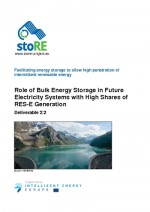 Role of Bulk Energy Storage in Future Electricity Systems with High Shares of RES-E Generation
