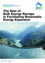 The Role of Bulk Energy Storage in Facilitating Renewable Energy Expansion