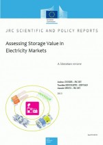 Assessing Storage Value in Electricity Markets