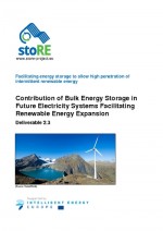 Contribution of Bulk Energy Storage in Future Electricity Systems Facilitating Renewable Energy Expansion