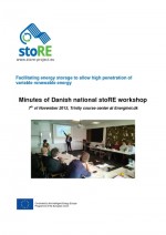 Proceedings of the National Workshop in Denmark
