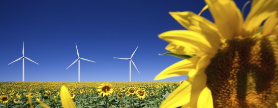 Wind energy will more than double in the period 2010 to 2030 supplying about 30% of the EU electricity
