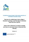 Energy Storage Action List in Denmark and Norway (with summary in English)