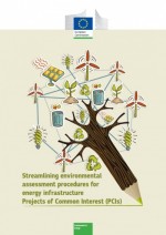 Streamlining Environmental Assessment procedures