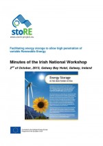 Proceedings of the National Workshop in Ireland