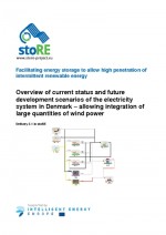 Energy Storage Needs in Denmark